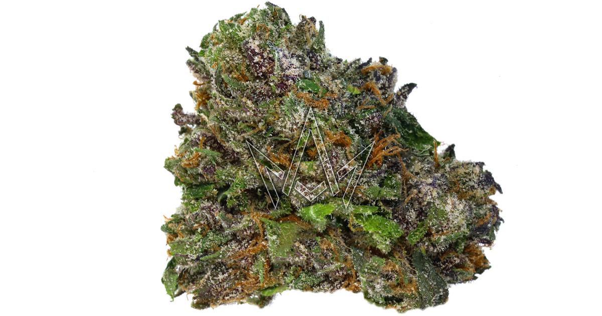 Sherb x Cherry Gelato