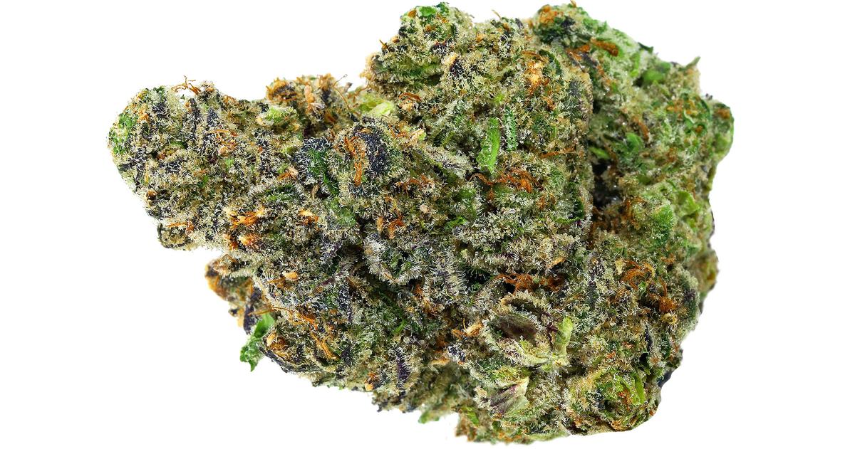 Apple Fritter