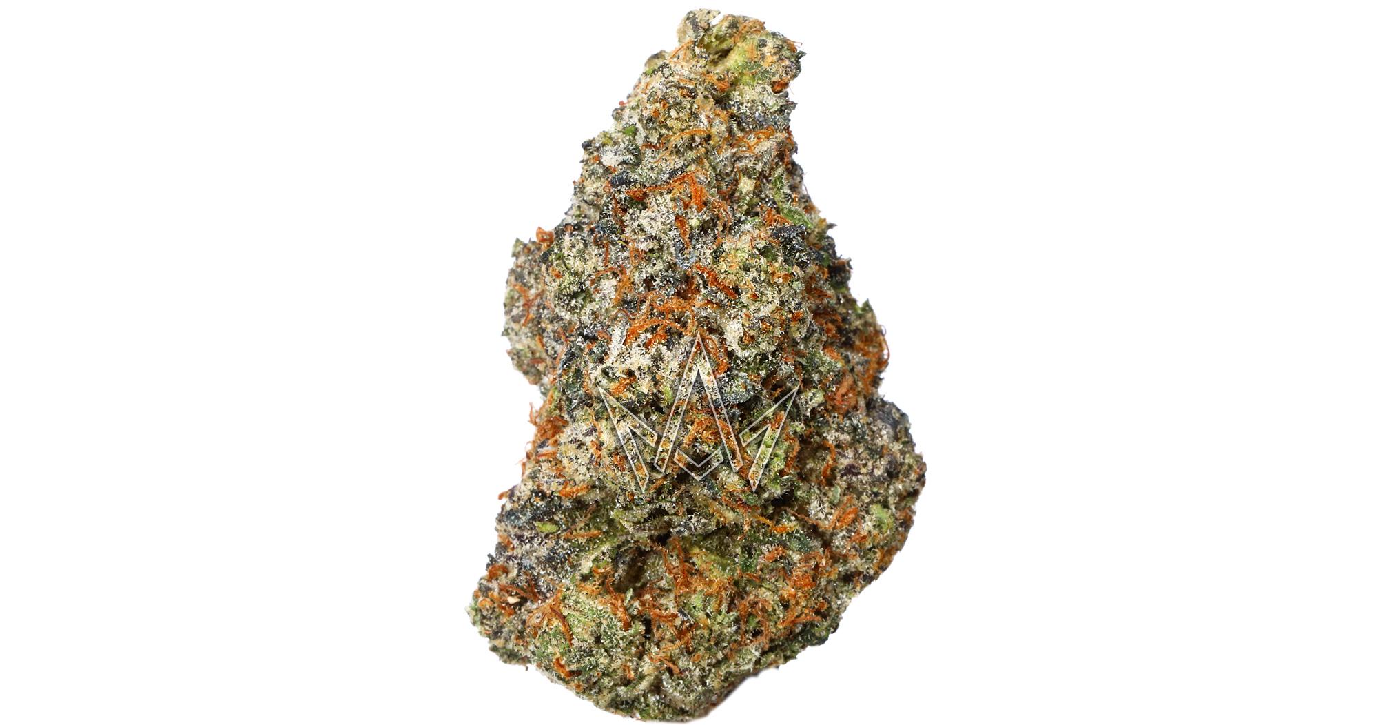 Gushers Indoor