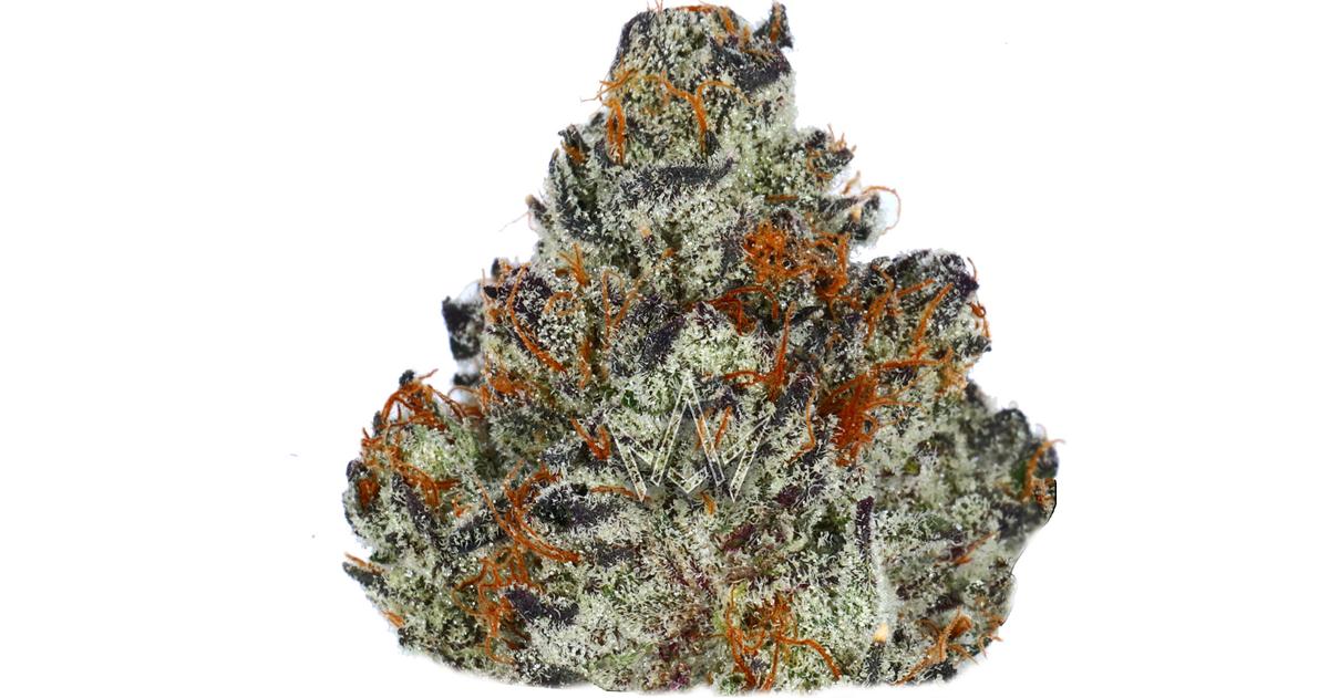 Knockout OG