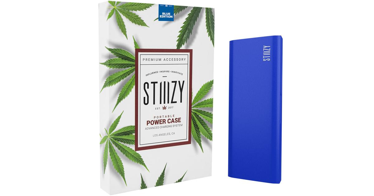 Blue Portable Power Case