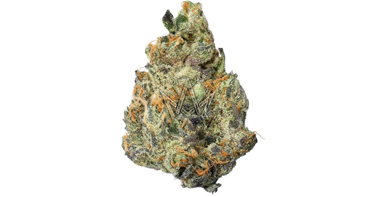 Gorilla Dosha #3