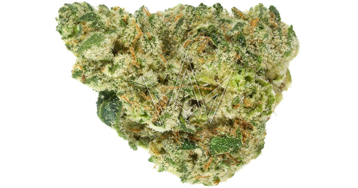 #Dragonballz Indoor Buds