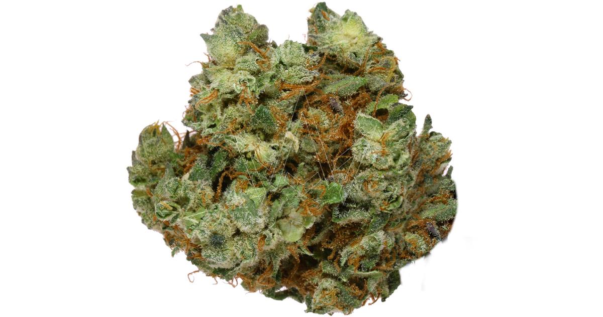 Crumb Cake Indoor Buds