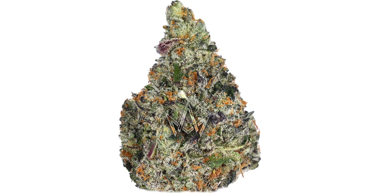 Gummiez #12