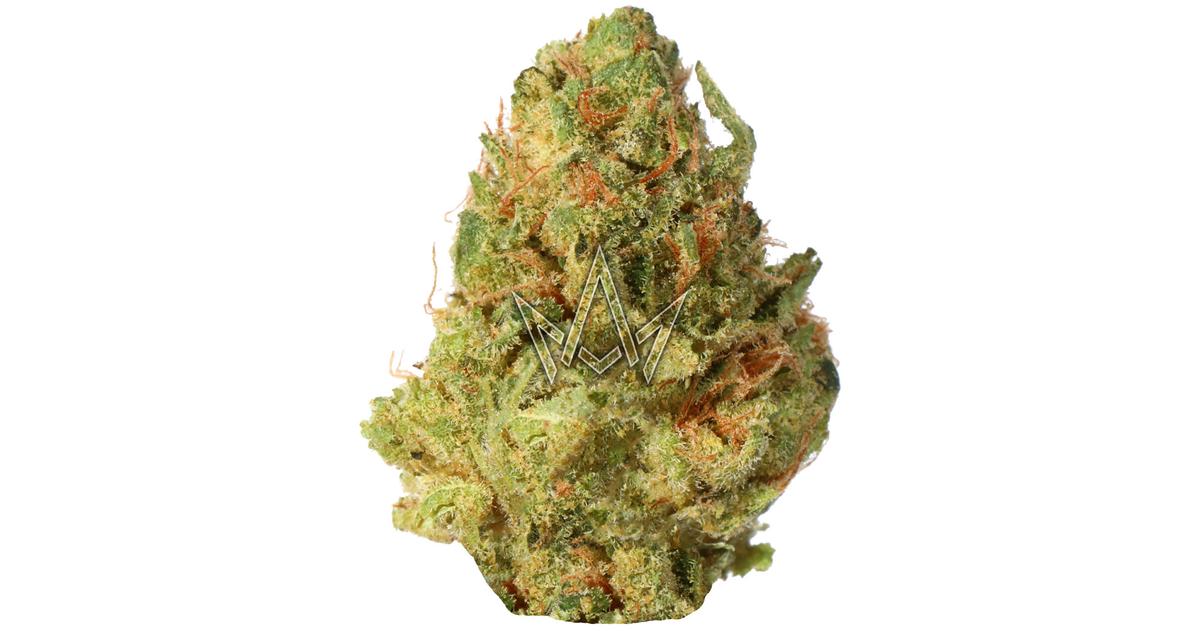 Orange 43