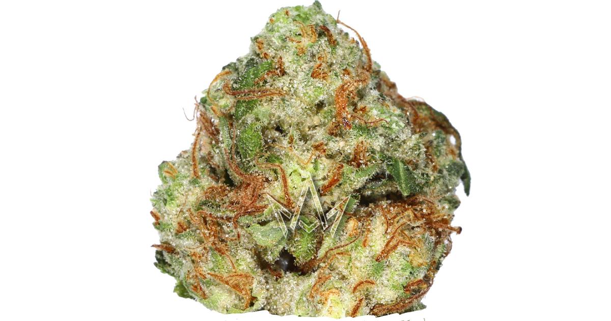 GMO S1