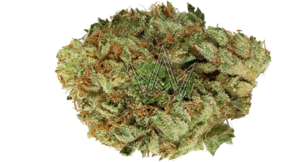 Gucci OG