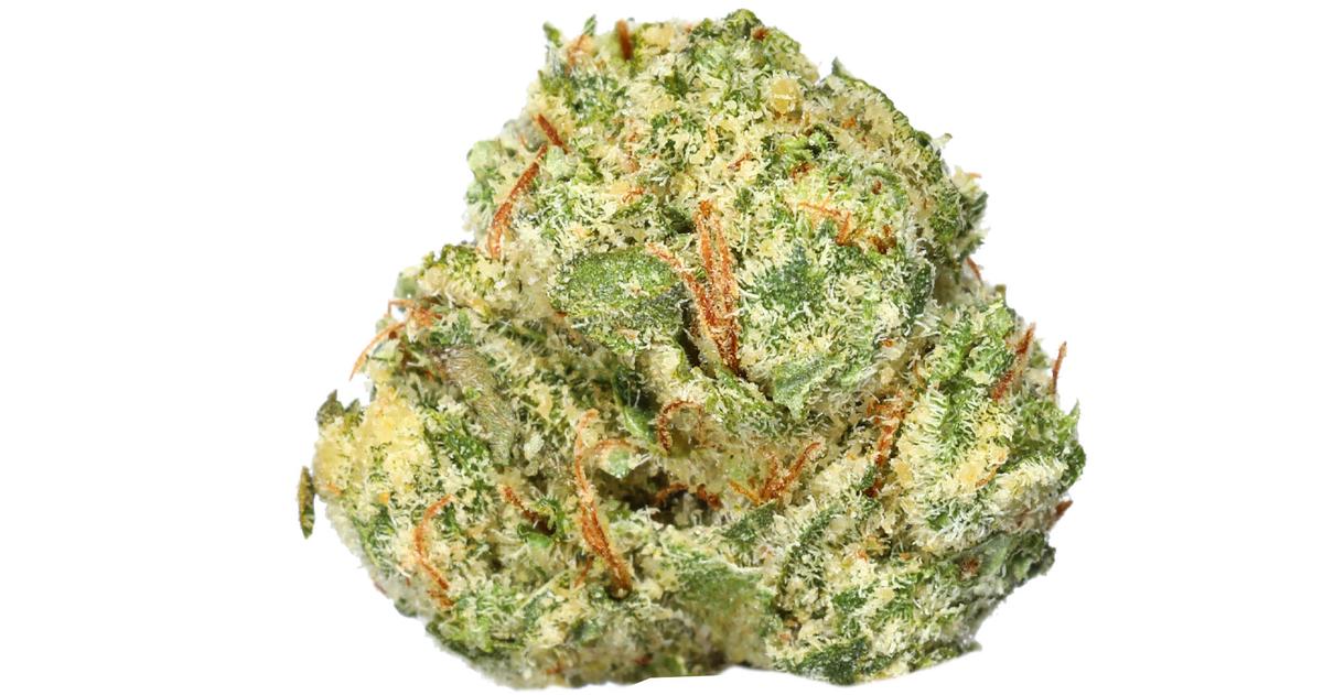 OG Glue