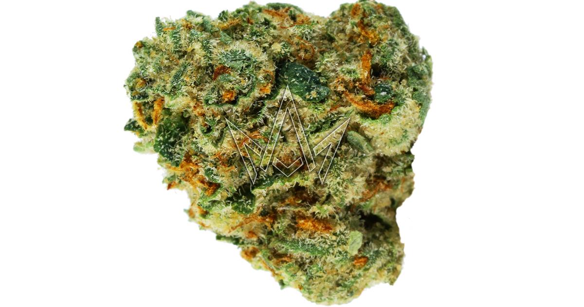 Gelato #41