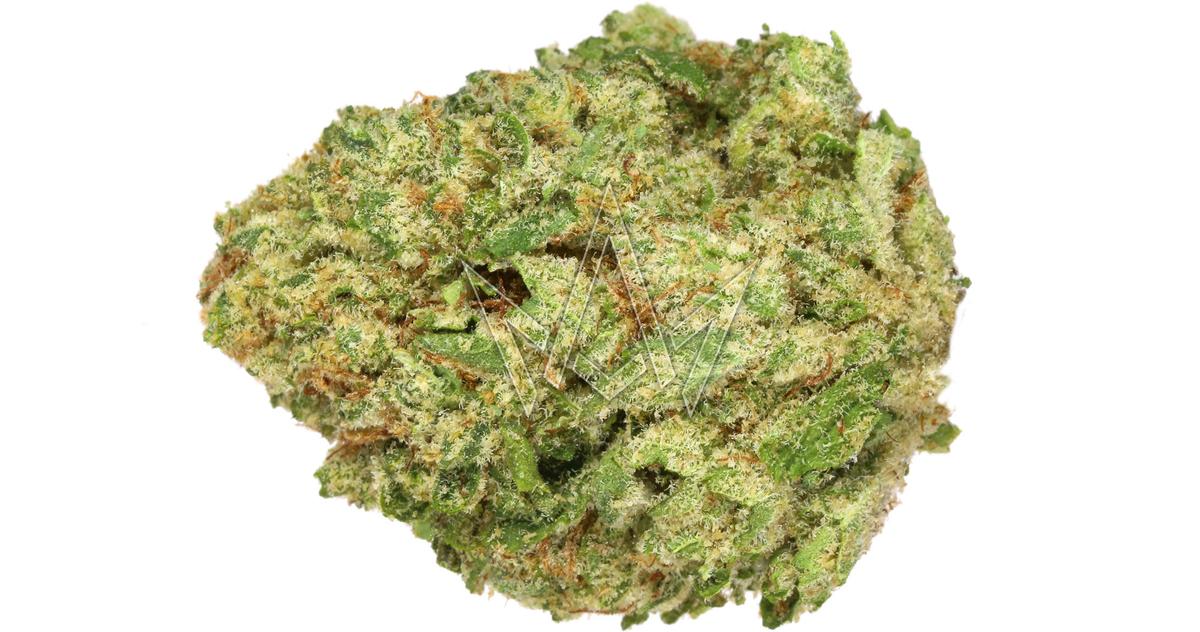Animal Face x Kush Mints