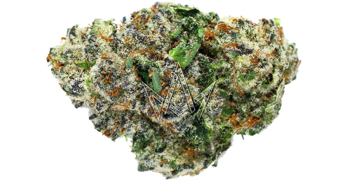 Bixcotti x GG#4 x Oreoz