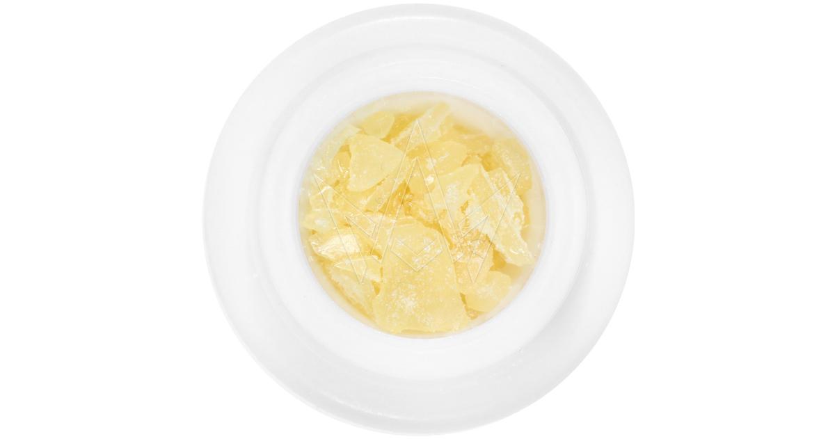 Gakolina #31 Persy Live Rosin