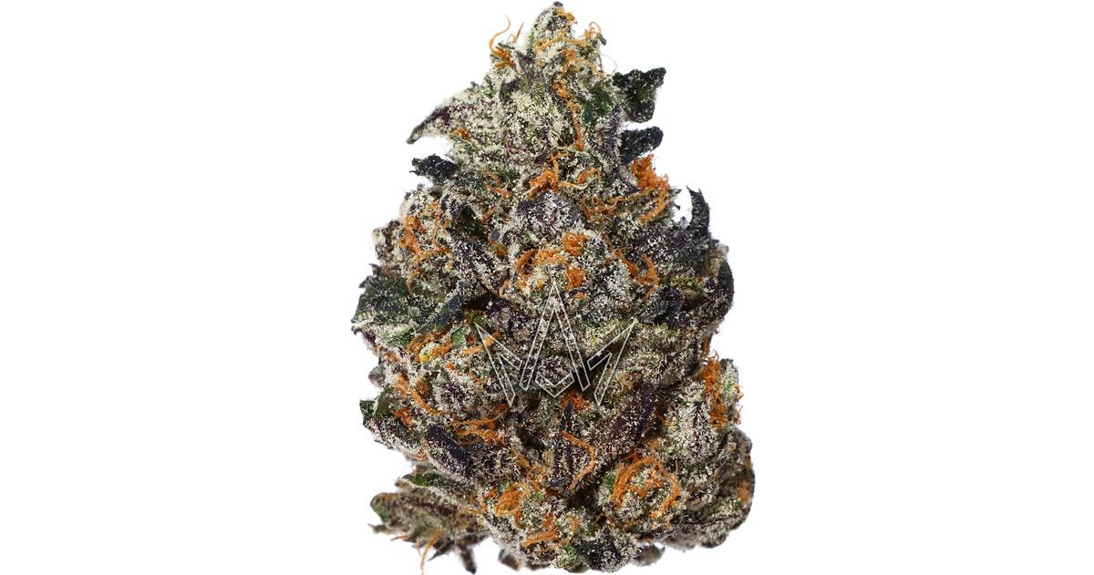 Gummiez #12