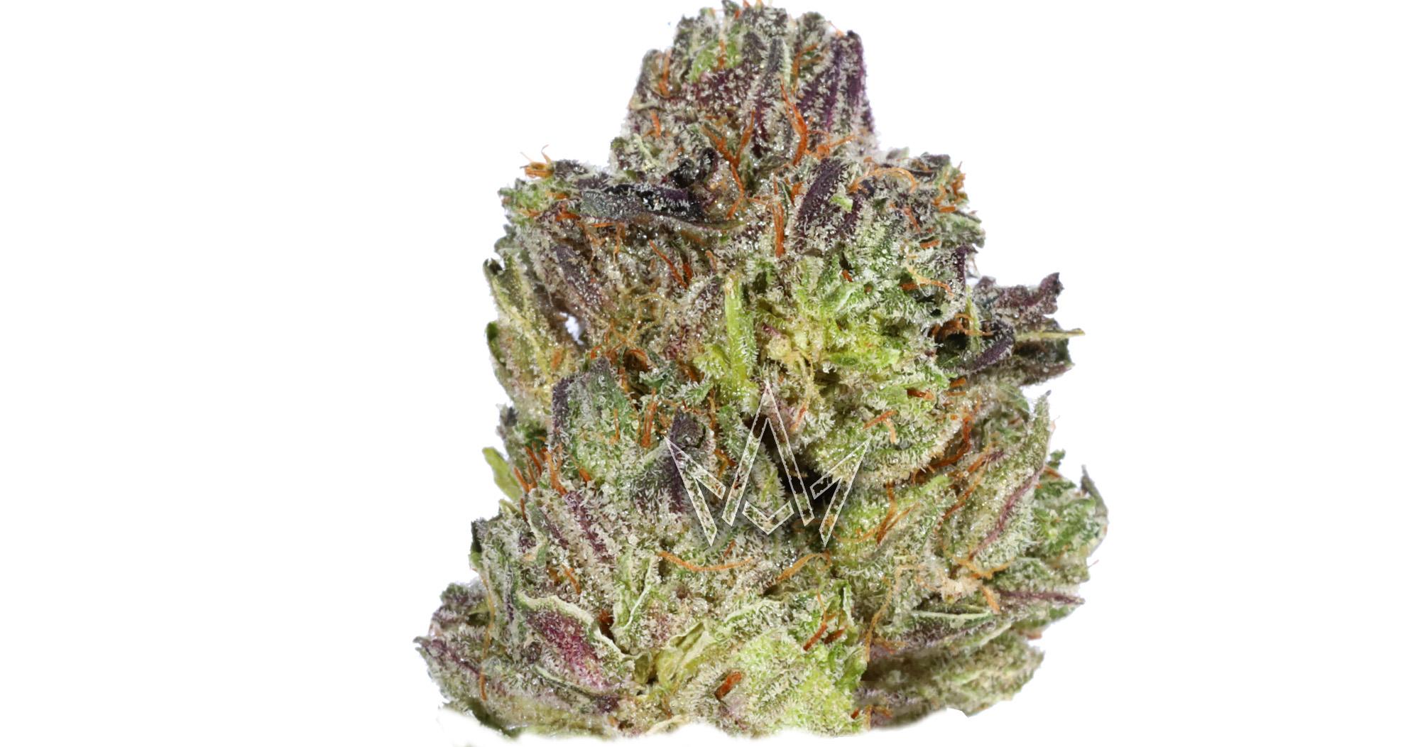 Grape Gasby