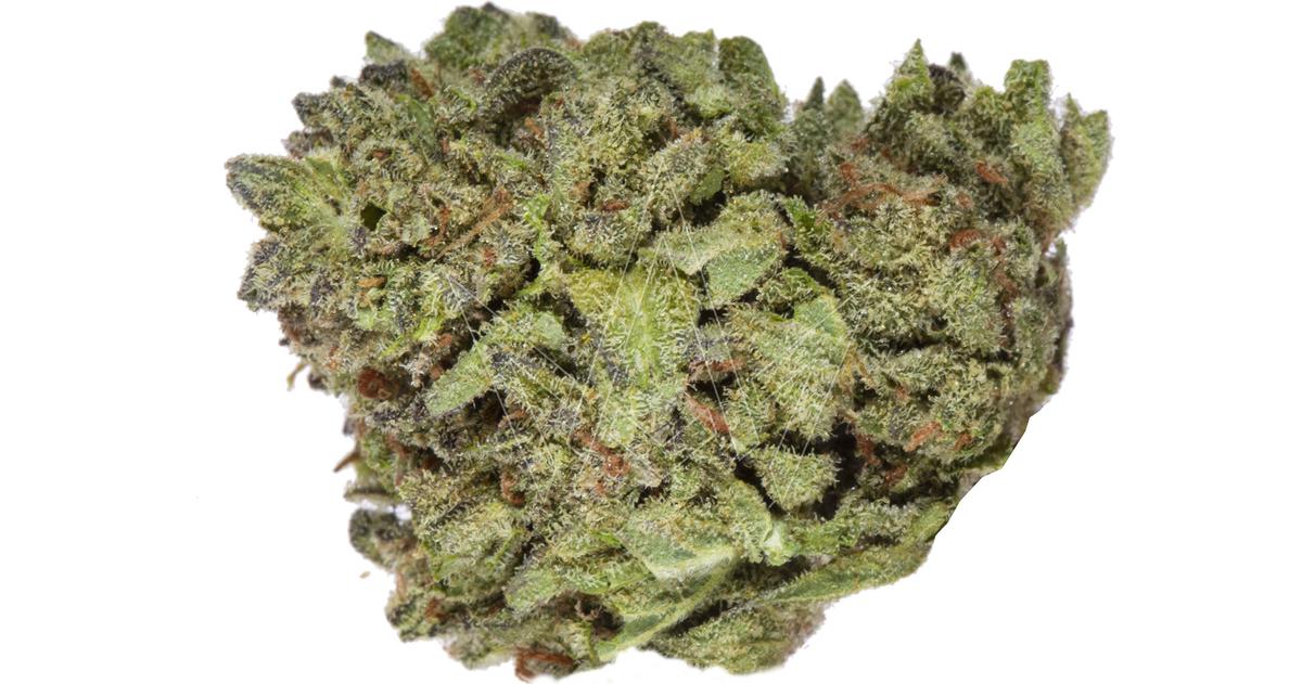 Mango Sherbet
