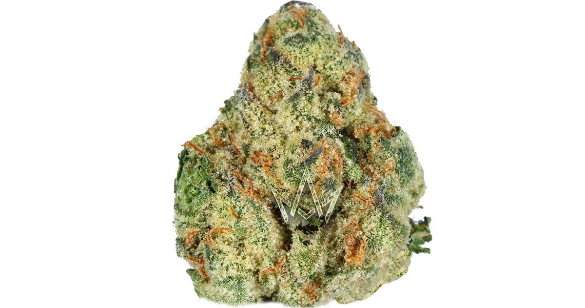 Afghan Skunk