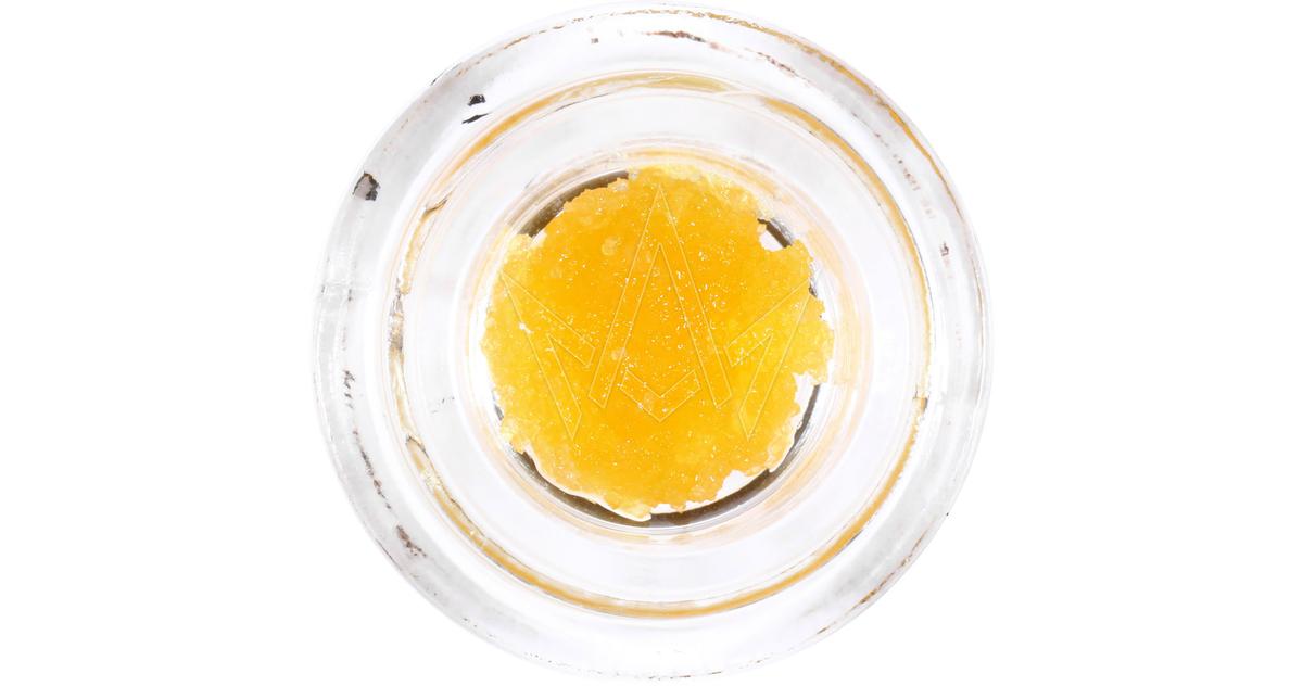 Black Domina HCE