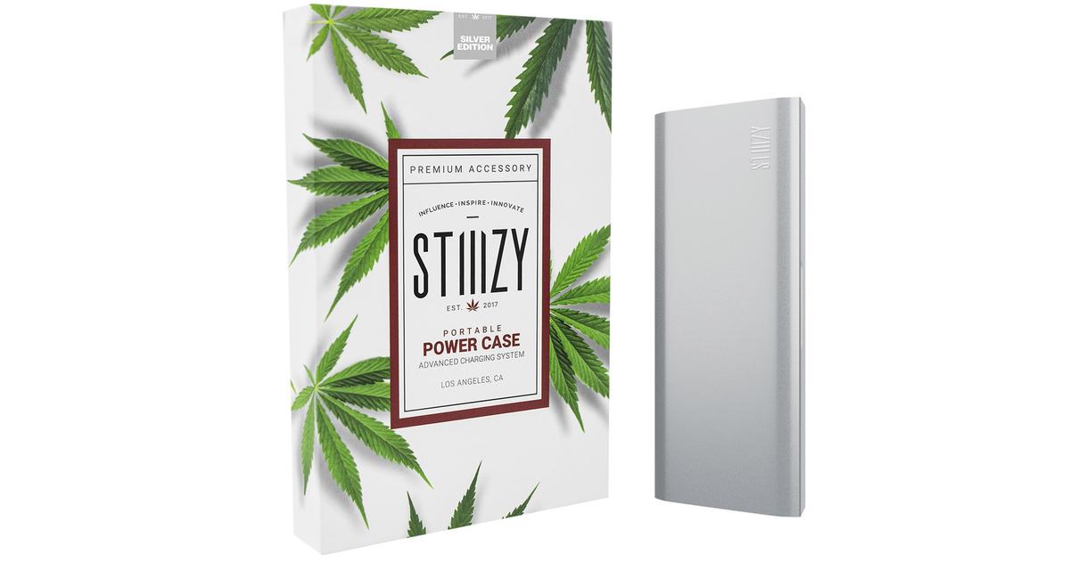 Silver Portable Power Case