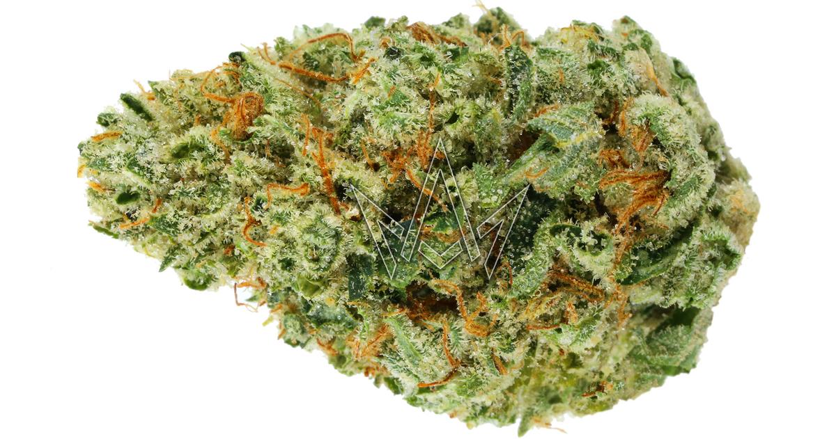 Dawg Breath