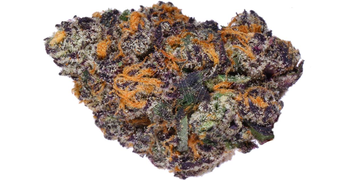 Blue Guava Gelato