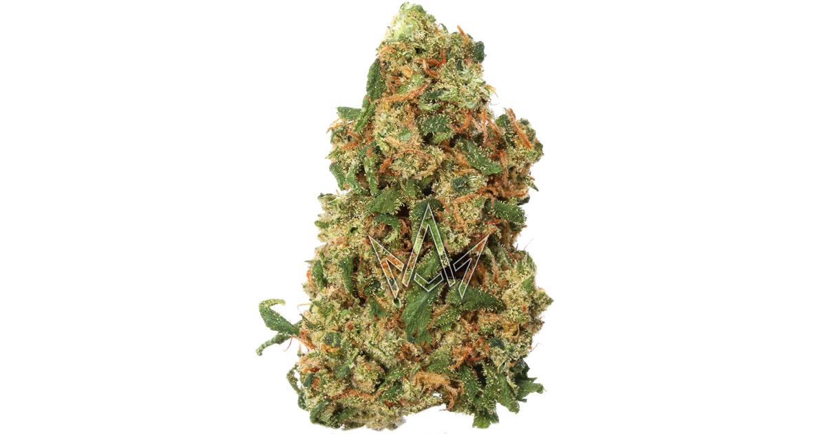 Mango Biche
