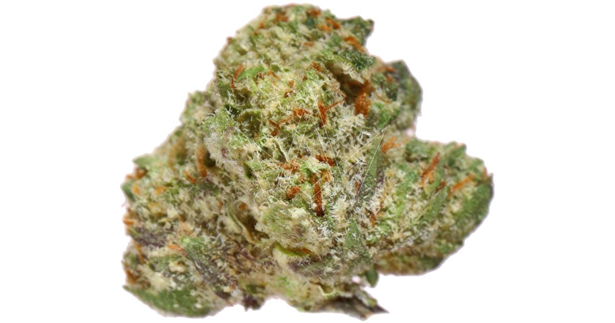 Bubba Diagonal Indoor Buds
