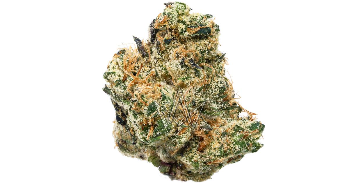 Wuanaland 66