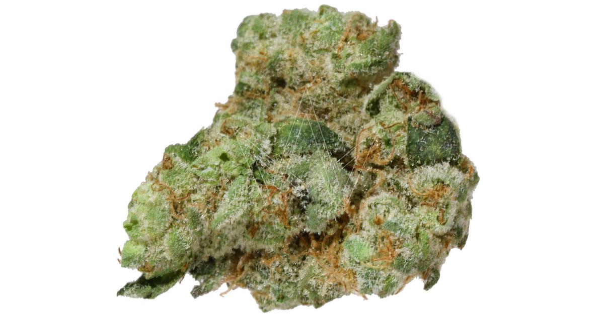 Gelato Kush Mintz Indoor Buds
