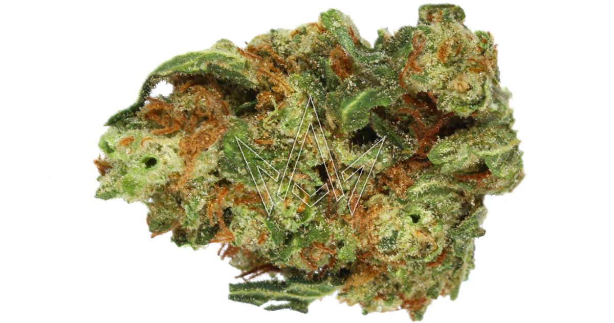 Dog Walker OG Premium Smalls