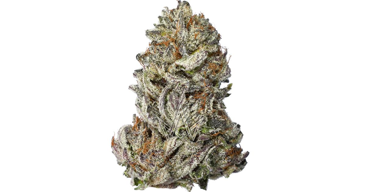Blueberry Fritter