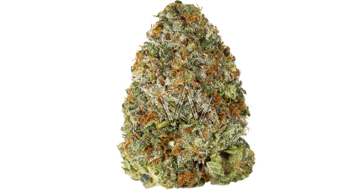 Baklava Indoor