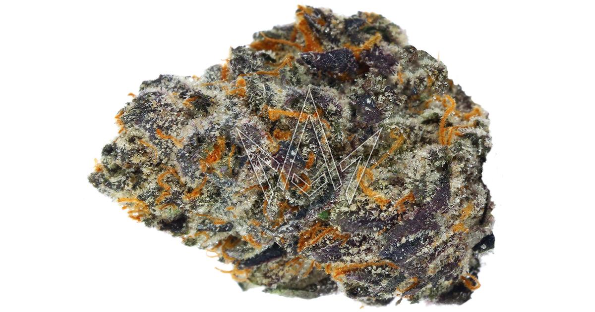 Black Cherry Gelato