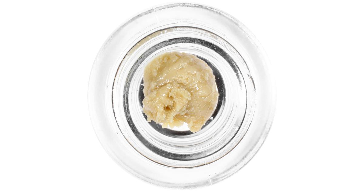 Jack Mintz Live Rosin
