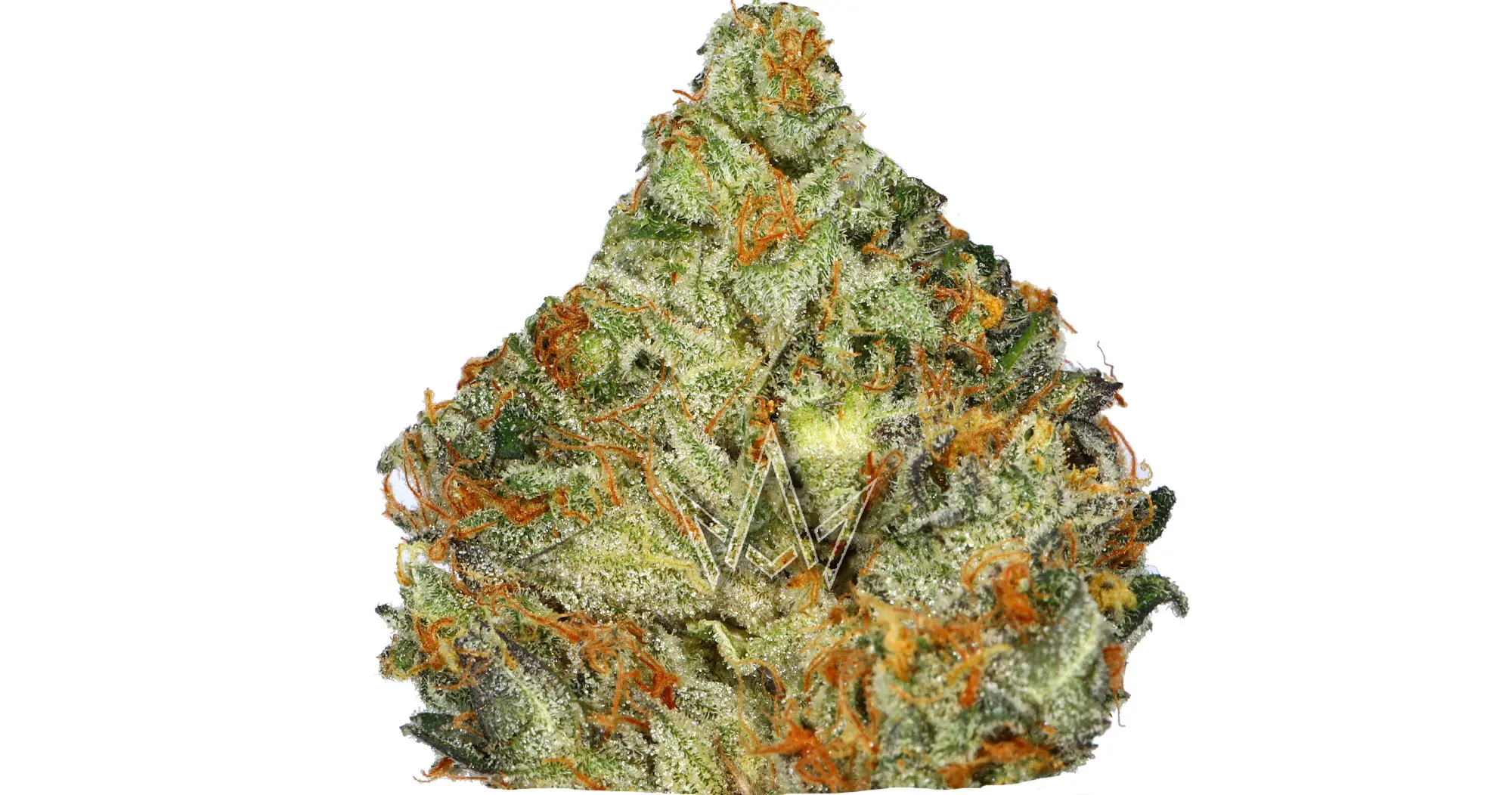 Cold Creek Kush