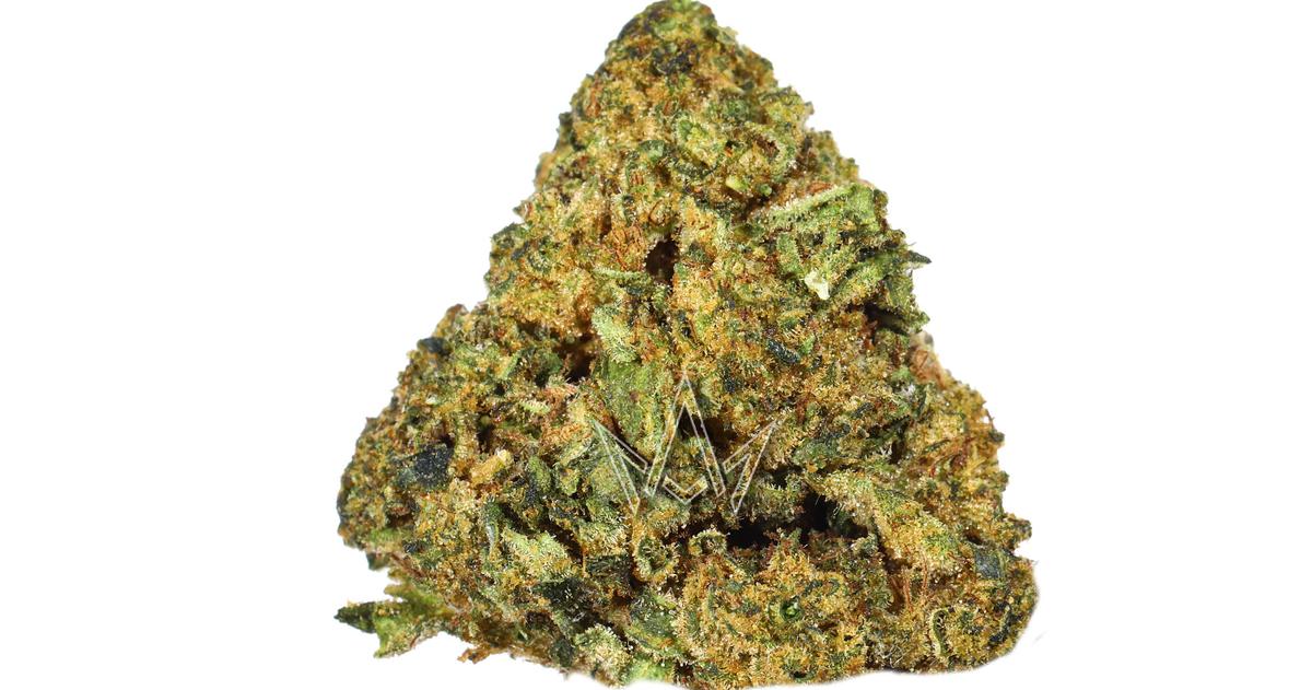 Gelato x High Octane