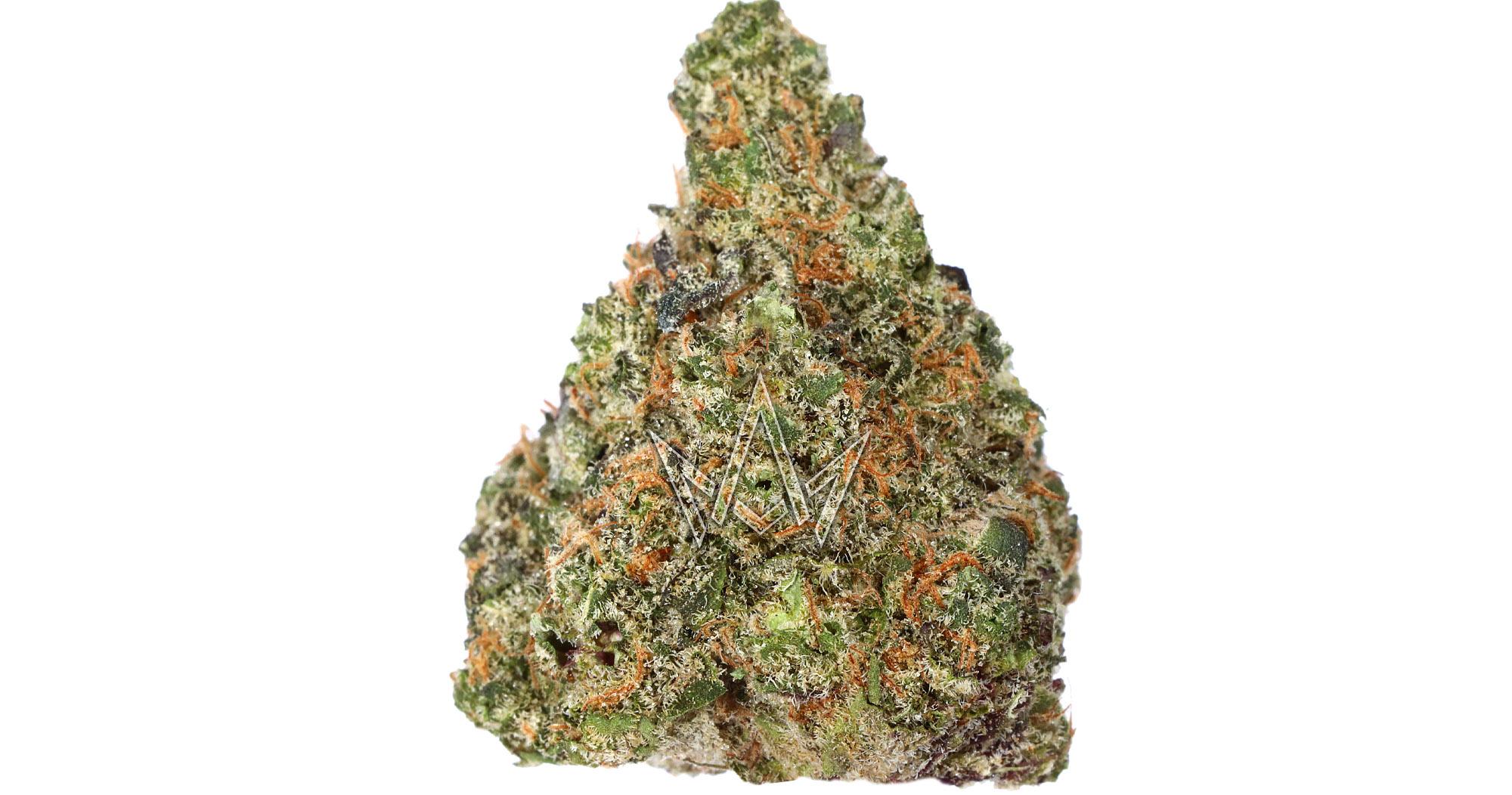 Key Lime Jack