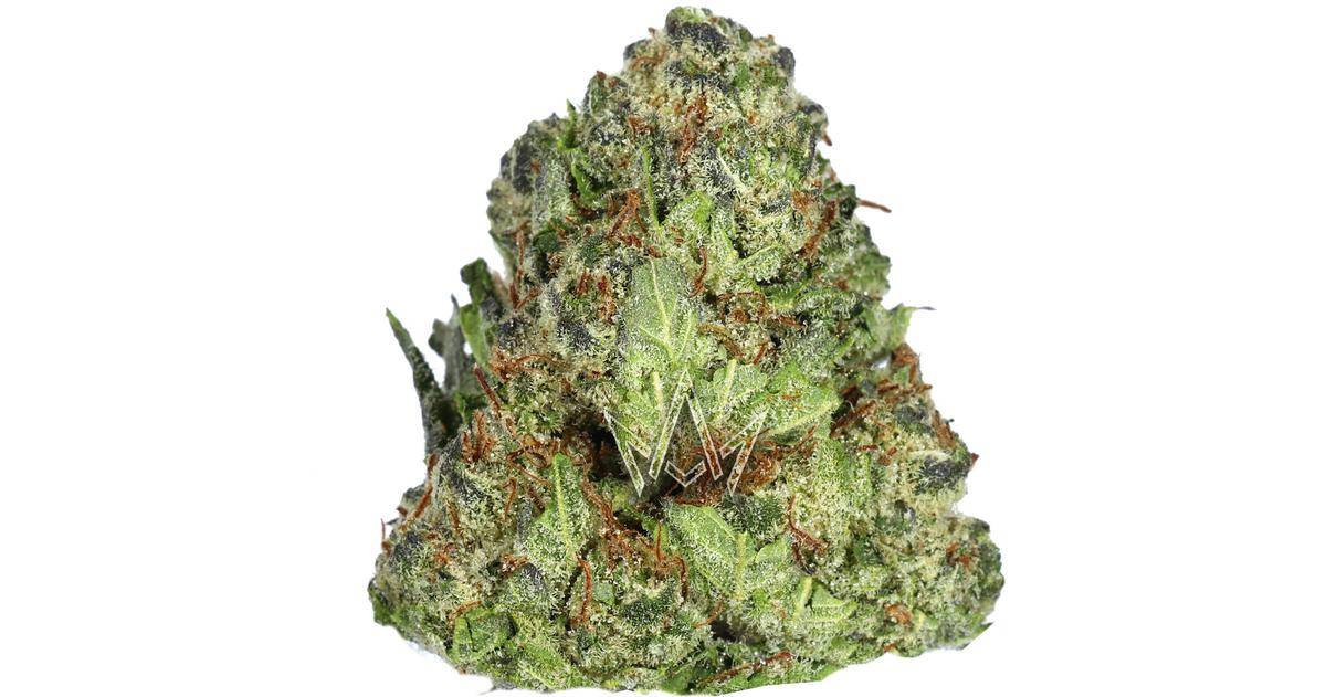 Northern Lights