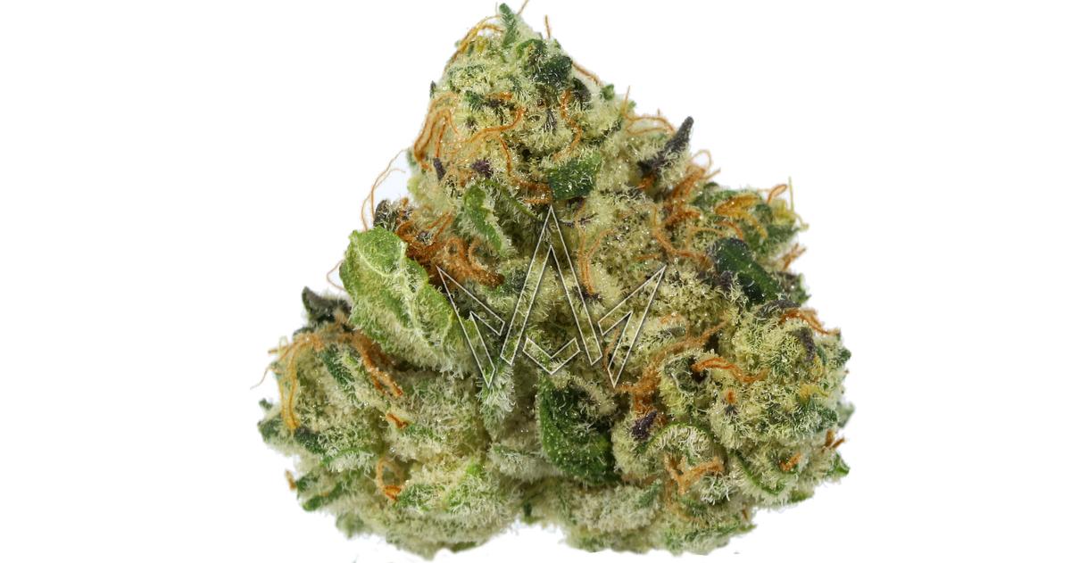 Daily Grapes Indoor Buds