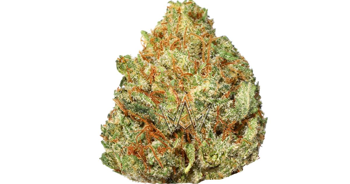 Jungle Spice