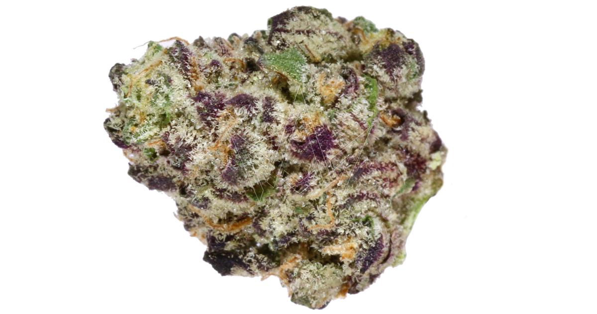 Gush Mintz Indoor Buds