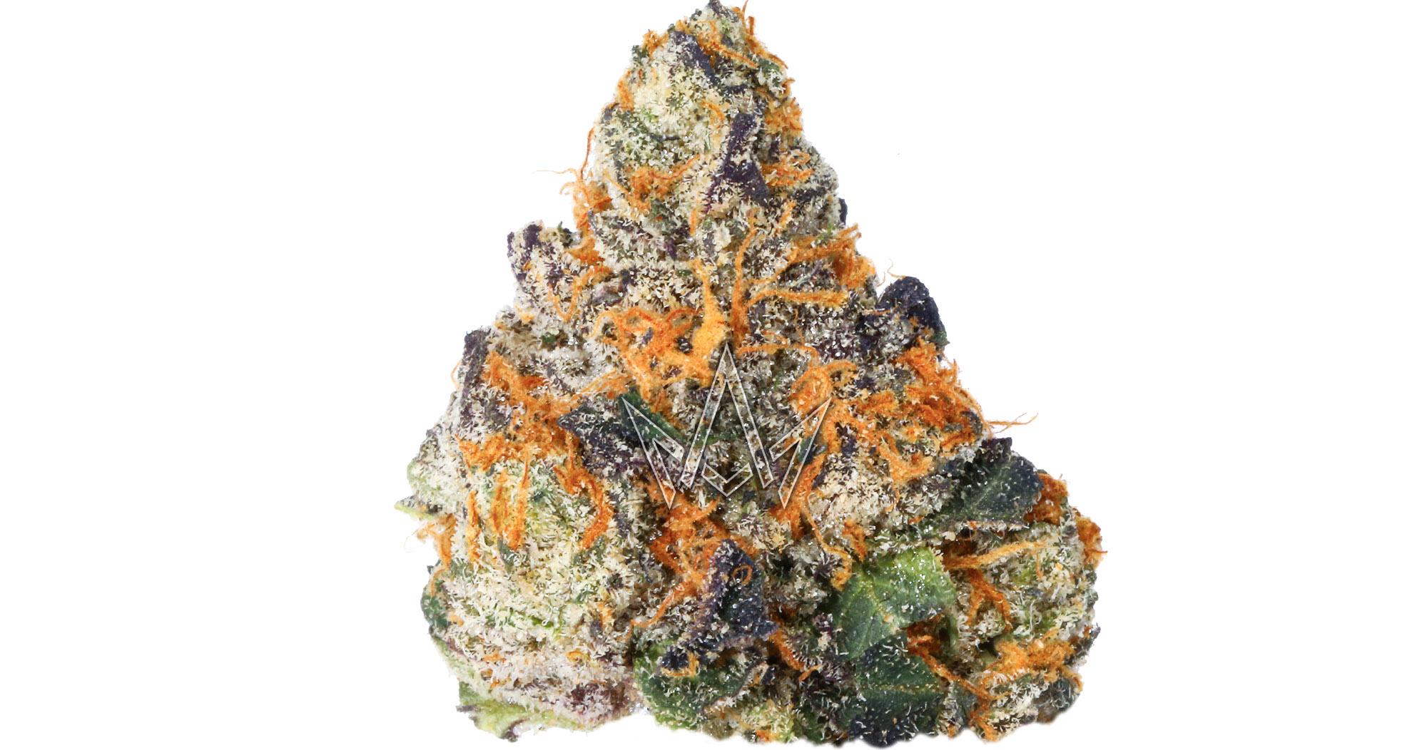 Bubblegum Gelato
