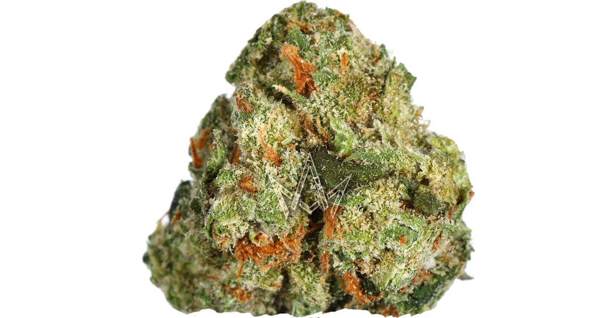 Jack Herer
