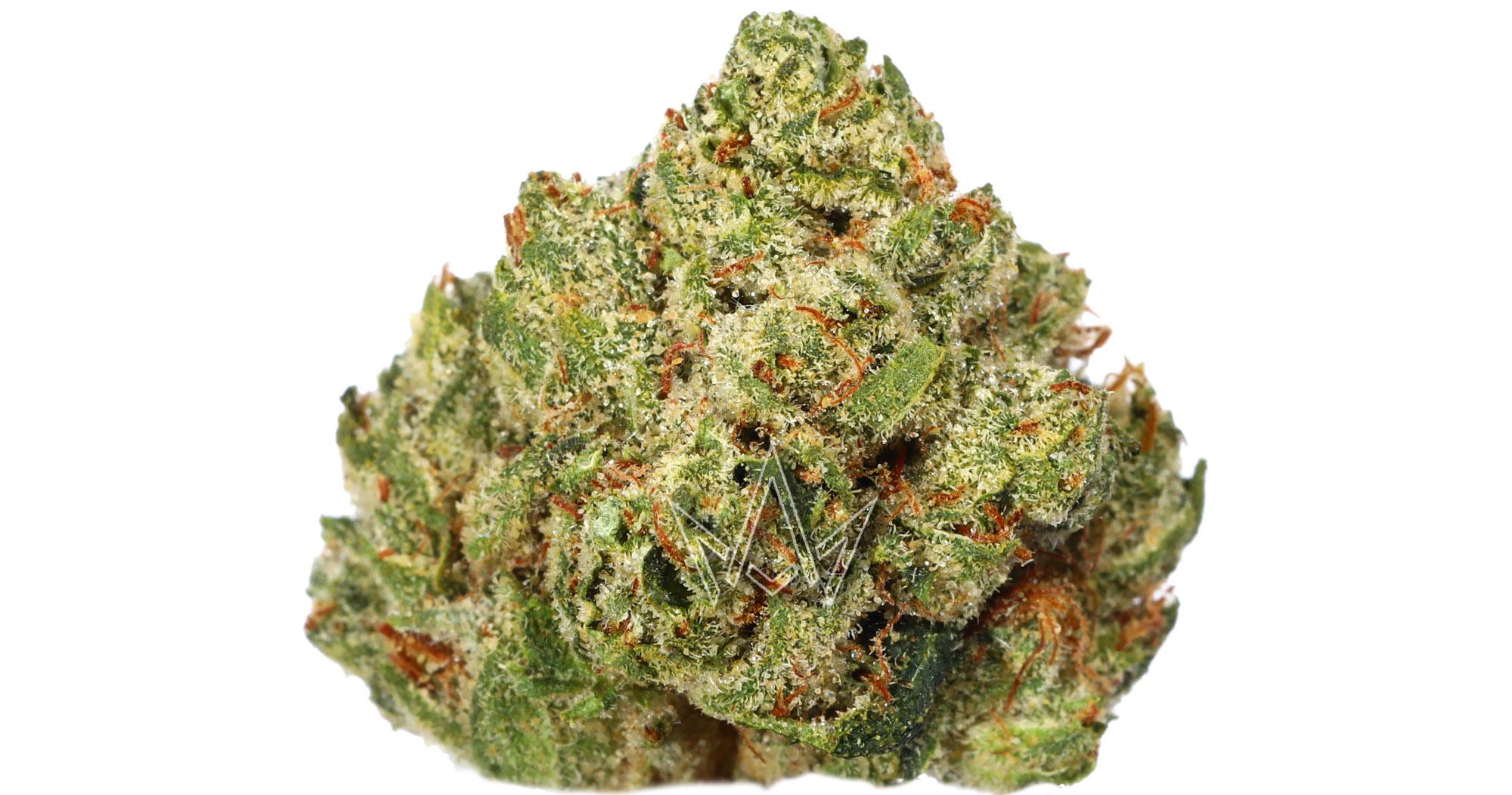Alien OG