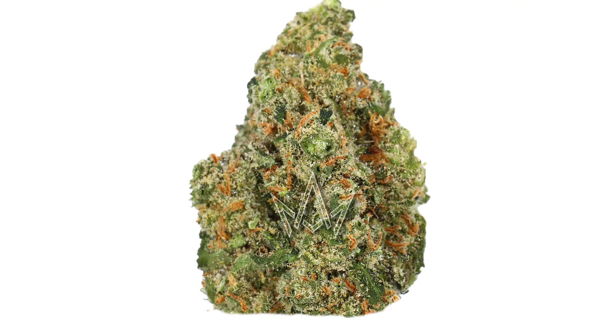 Jack Herer