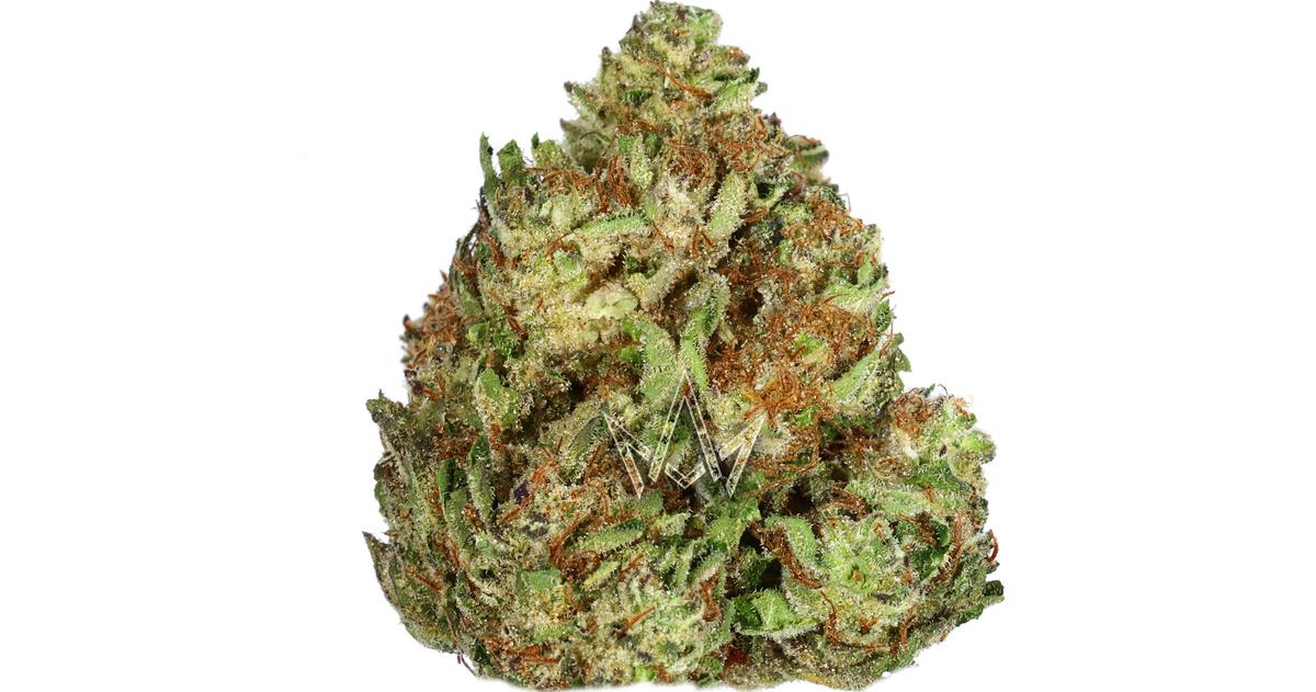 Amalfi OG