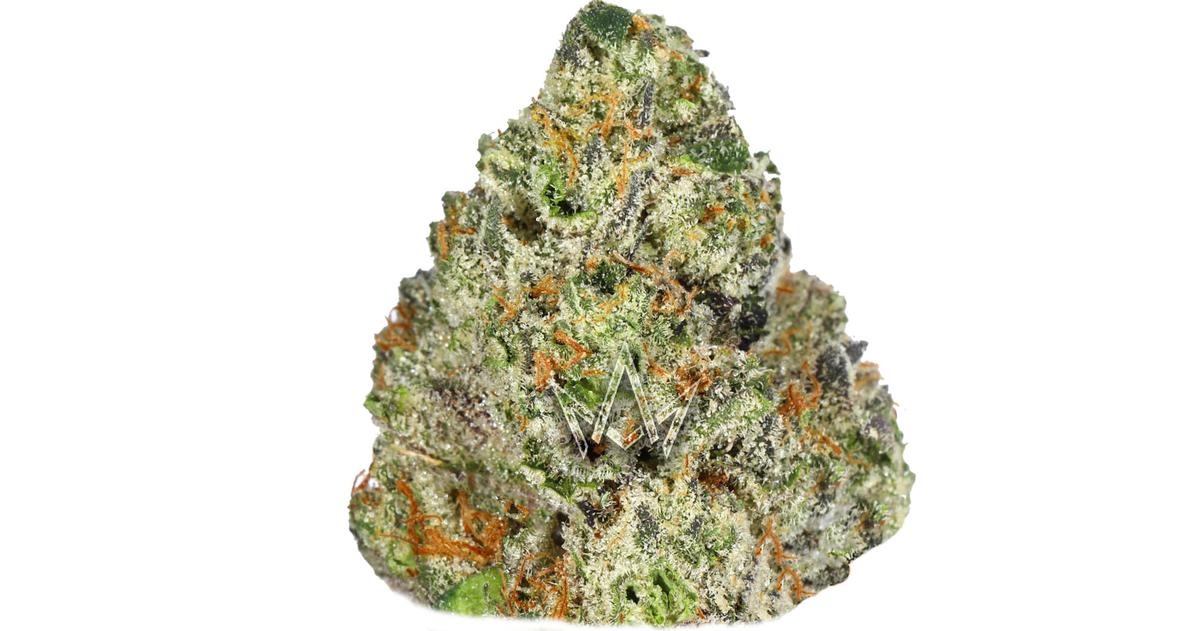 Gemini Indoor
