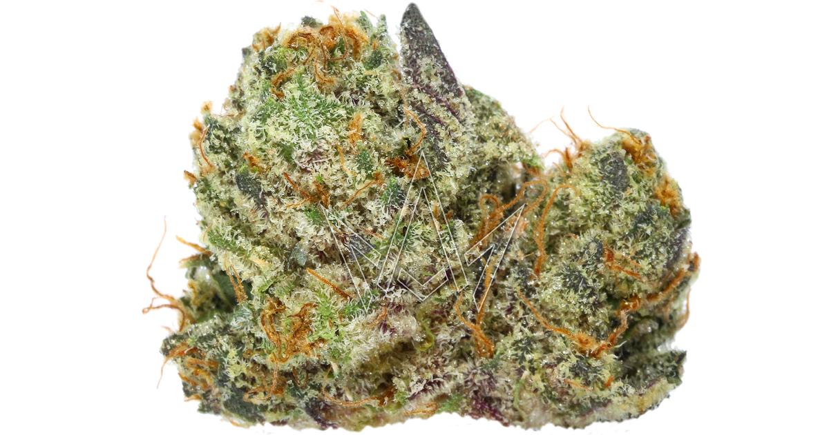 Planet Milk Indoor