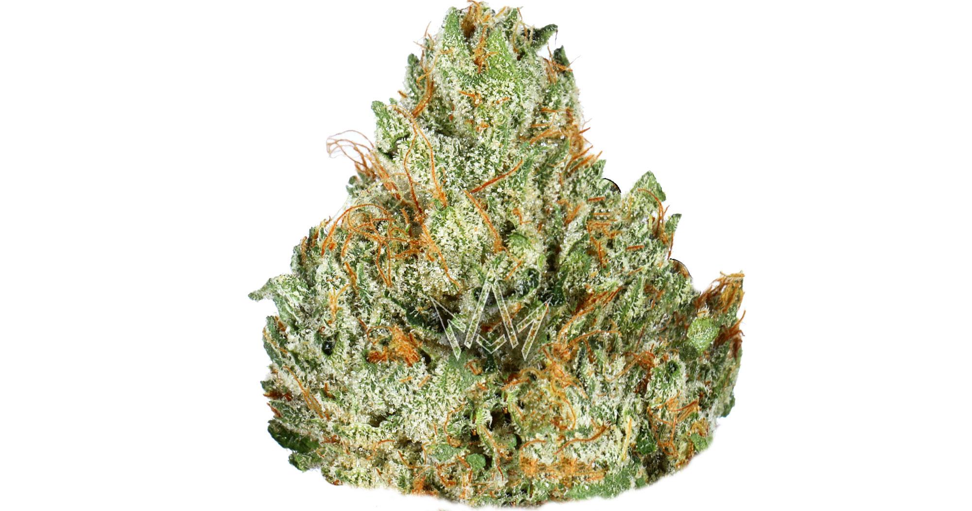 Red Eye OG