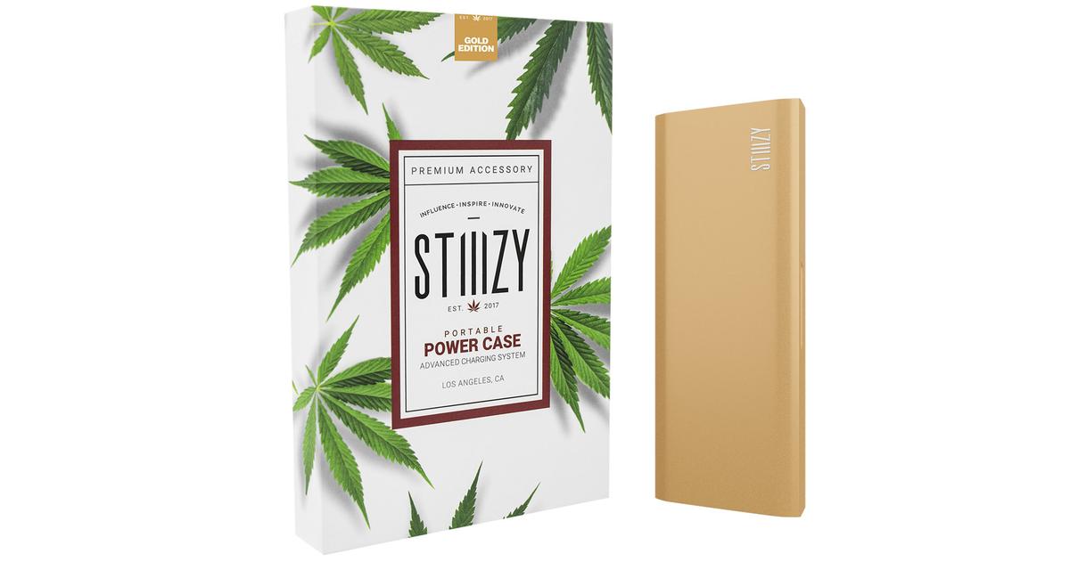 Gold Portable Power Case